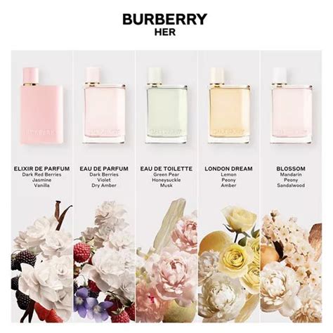 perfume london tours burberry|Burberry London perfume smells like.